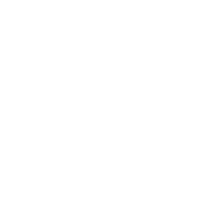 Ysassi & Company